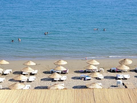 Shots from the Beach